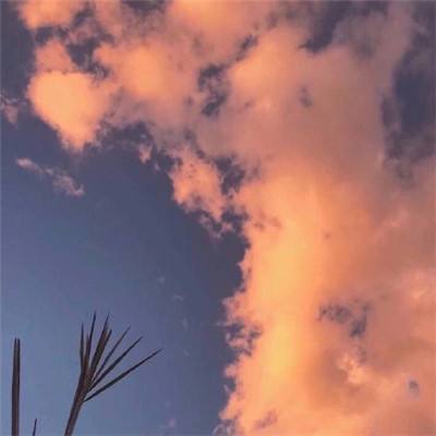 少年封神榜ol果盘版下载